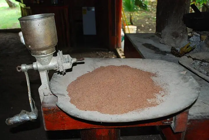 A metal hand-crank grinder is mounted on a table beside a flat, round stone plate holding a pile of finely ground brown flour—much like the sights you might find during authentic tours in Punta Cana, with rustic furniture and greenery outside.