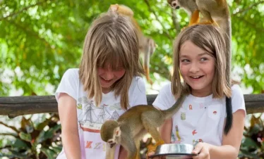 Two young girls sit smiling outdoors during their Punta Cana trip, each holding a metal bowl with food. Small monkeys perch on the girls’ heads and arms, playfully eating as lush green leaves and sunlit trees fill the vibrant background.