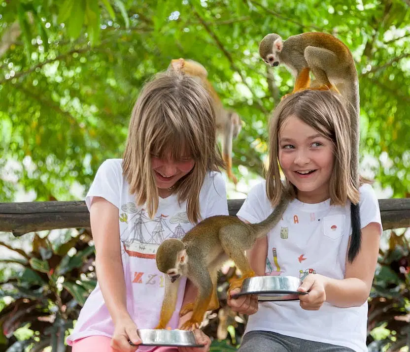 Two young girls sit smiling outdoors during their Punta Cana trip, each holding a metal bowl with food. Small monkeys perch on the girls’ heads and arms, playfully eating as lush green leaves and sunlit trees fill the vibrant background.