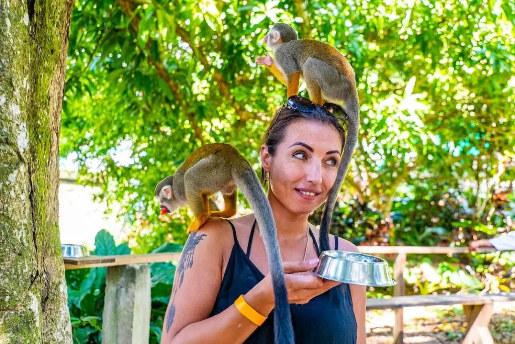 A woman outdoors holds a metal bowl in one hand while two small monkeys climb on her, one perched on her head and the other on her shoulder. She smiles and looks to the side—capturing the fun of Punta Cana tours amid green trees and sunlight.