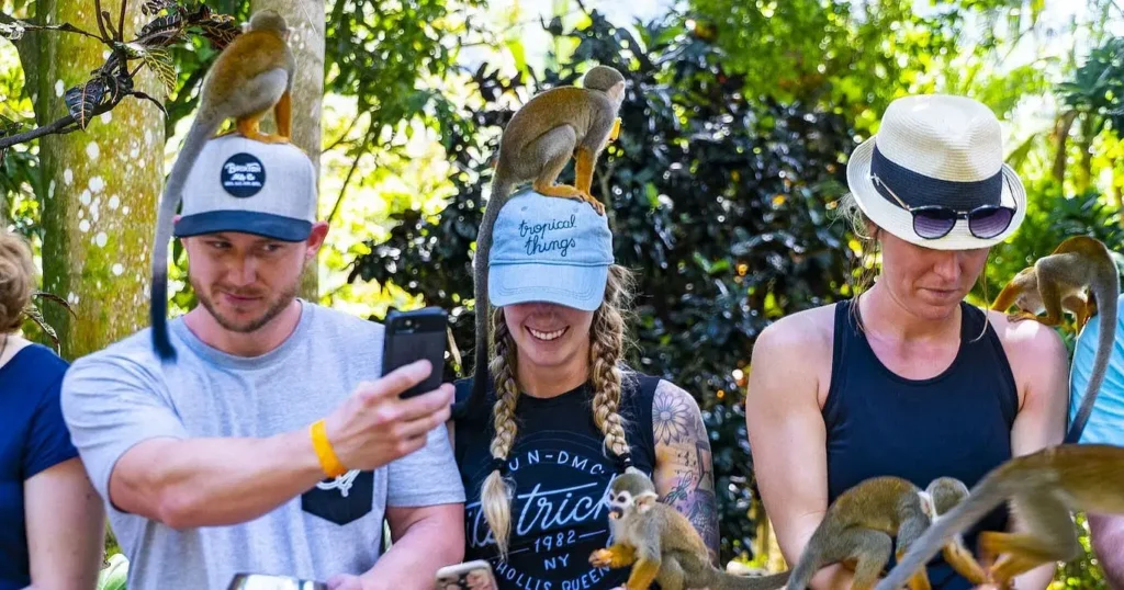 Three people stand outdoors on a Punta Cana excursion, each wearing hats with small monkeys perched on their heads and arms. The person on the left takes a selfie, the middle smiles, and the right looks down amid lush green foliage.