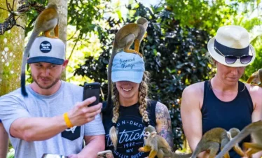 Three people stand outdoors on a Punta Cana excursion, each wearing hats with small monkeys perched on their heads and arms. The person on the left takes a selfie, the middle smiles, and the right looks down amid lush green foliage.