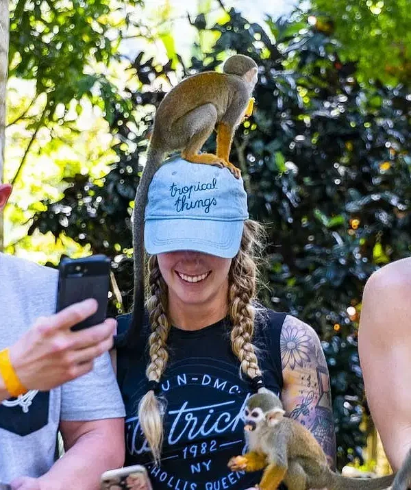 Three people stand outdoors on a Punta Cana excursion, each wearing hats with small monkeys perched on their heads and arms. The person on the left takes a selfie, the middle smiles, and the right looks down amid lush green foliage.