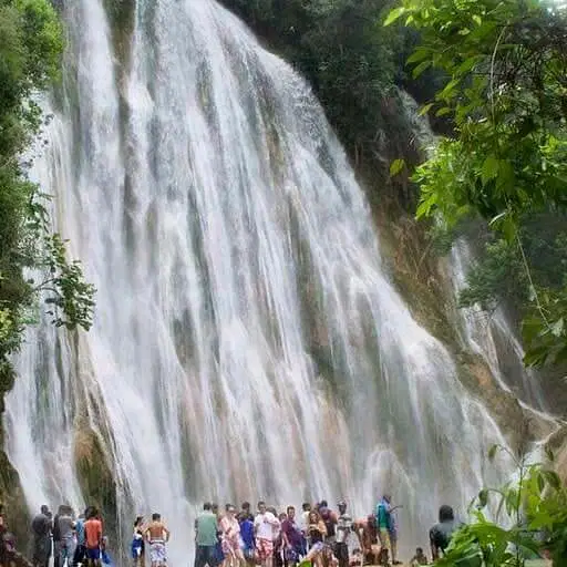 A large group of people stands at the base of a wide, cascading waterfall surrounded by green trees and foliage—a highlight of many Punta Cana excursions. Mist rises as water flows down the rocky cliff, creating a lively natural setting.