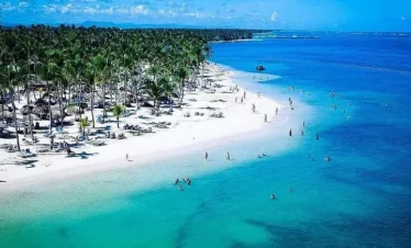 A tropical beach with white sand, turquoise water, and rows of palm trees awaits. People relax on the shore or swim in clear, shallow water. Enjoy gentle curves of the coast under a bright sky—perfect for experiencing Punta Cana tours.