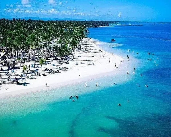 A tropical beach with white sand, turquoise water, and rows of palm trees awaits. People relax on the shore or swim in clear, shallow water. Enjoy gentle curves of the coast under a bright sky—perfect for experiencing Punta Cana tours.