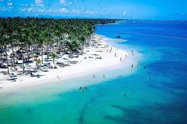 A tropical beach with white sand, turquoise water, and rows of palm trees awaits. People relax on the shore or swim in clear, shallow water. Enjoy gentle curves of the coast under a bright sky—perfect for experiencing Punta Cana tours.