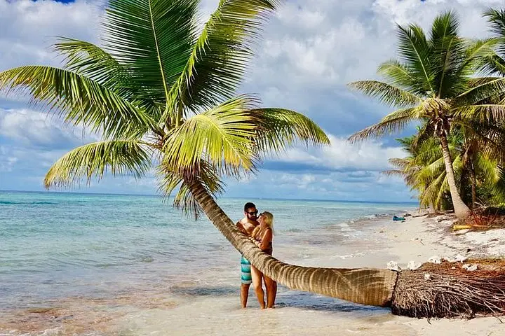 A couple embraces on a sandy tropical beach in Punta Cana, standing by a large leaning palm tree at the shore—an ideal scene for tours in Punta Cana. The calm turquoise ocean and lush greenery create a perfect getaway.