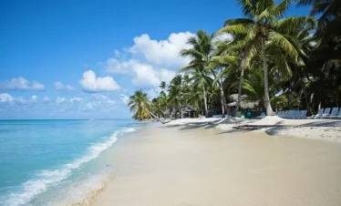 A tropical beach with clear turquoise water, white sand, and lush palm trees awaits. Enjoy rows of shaded lounge chairs under thatched huts along the shoreline as you relax before starting your punta cana tours.