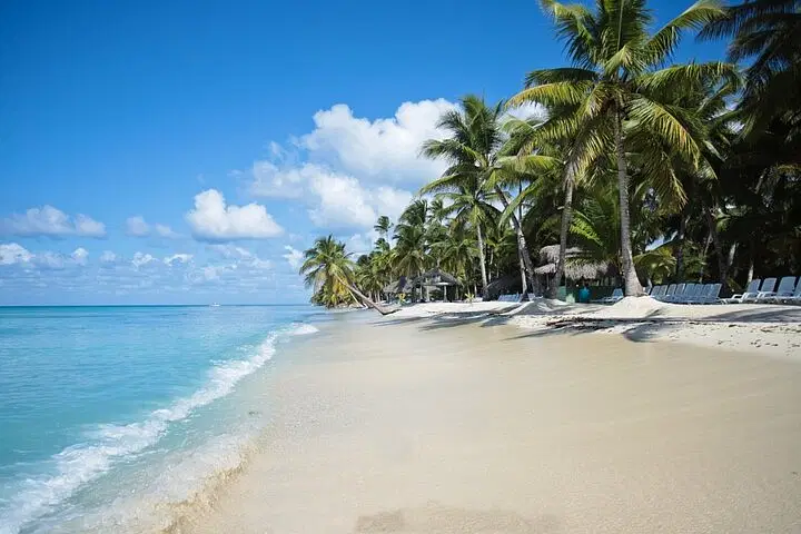 A tropical beach with clear turquoise water, white sand, and lush palm trees awaits. Enjoy rows of shaded lounge chairs under thatched huts along the shoreline as you relax before starting your punta cana tours.