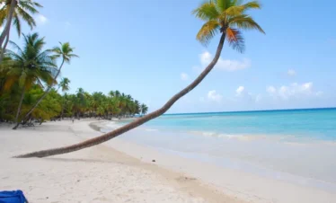 A white sandy beach with clear blue water and a bright sky sets the scene for your Punta Cana trip. A tall palm tree leans over the shoreline, more palms in the background, and a hint of blue towel or chair completes this tropical escape.