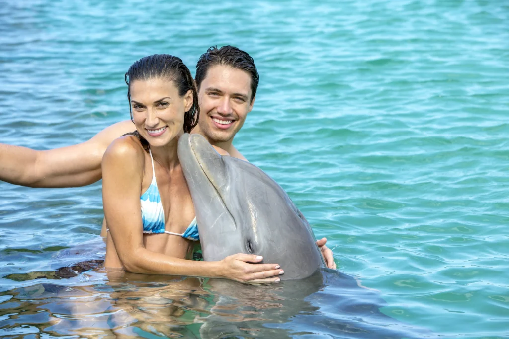 A smiling couple in swimsuits embrace a dolphin in clear blue water during one of their Punta Cana excursions. The woman, in a blue and white bikini, and the man are both happy, creating a joyful, tropical atmosphere with sunlight dancing on the water.