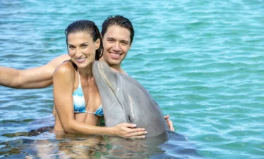 A smiling couple in swimsuits embrace a dolphin in clear blue water during one of their Punta Cana excursions. The woman, in a blue and white bikini, and the man are both happy, creating a joyful, tropical atmosphere with sunlight dancing on the water.