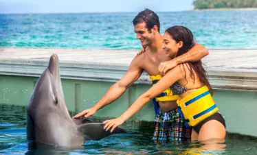 A smiling man and woman in yellow life vests stand in shallow ocean water beside a dock, touching a dolphin that is lifting its head out of the water—an unforgettable moment on Punta Cana tours, with a tropical island and blue sea in the background.