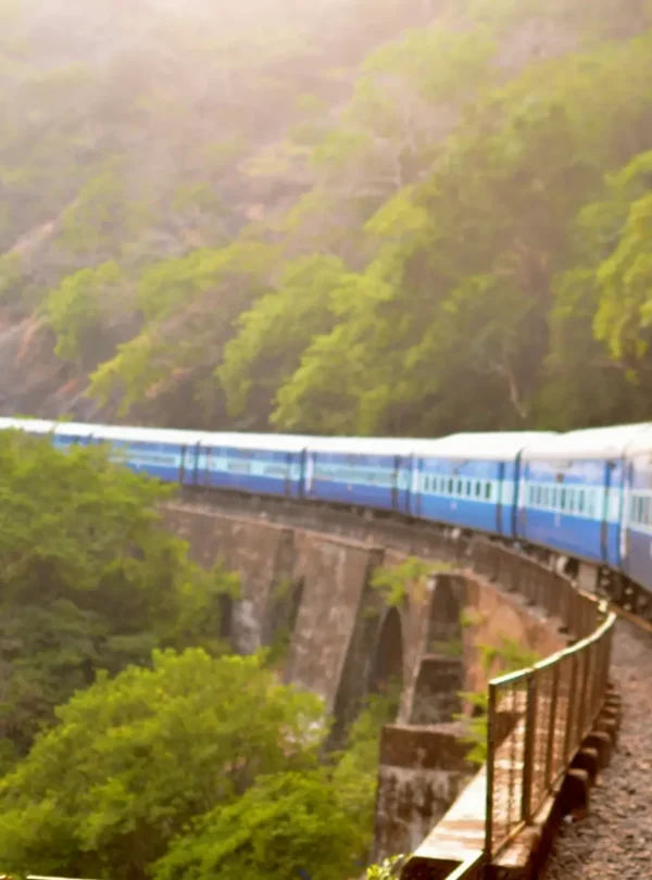 A blue passenger train curves along a track on a narrow bridge through lush green hills. Sunlight filters through the trees as a person smiles, enjoying the scenic view—much like the unforgettable experiences of punta cana tours. The atmosphere is bright and peaceful.