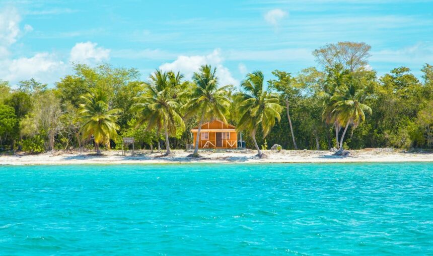 Punta Cana: Where Adventure Meets Affordability in the Dominican Republic
