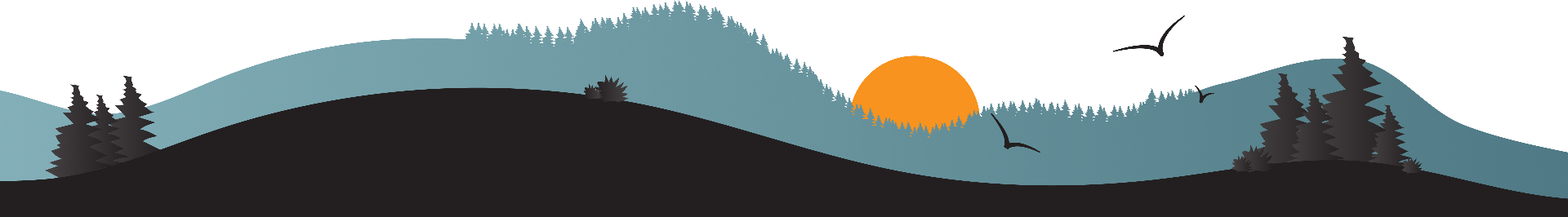 A minimalist landscape features black hills, dark trees, and bushes. The sky is blue with an orange sun near the horizon. Three birds fly in silhouette, evoking the serene views seen on Punta Cana tours. Simple shapes create a modern, stylish vibe.