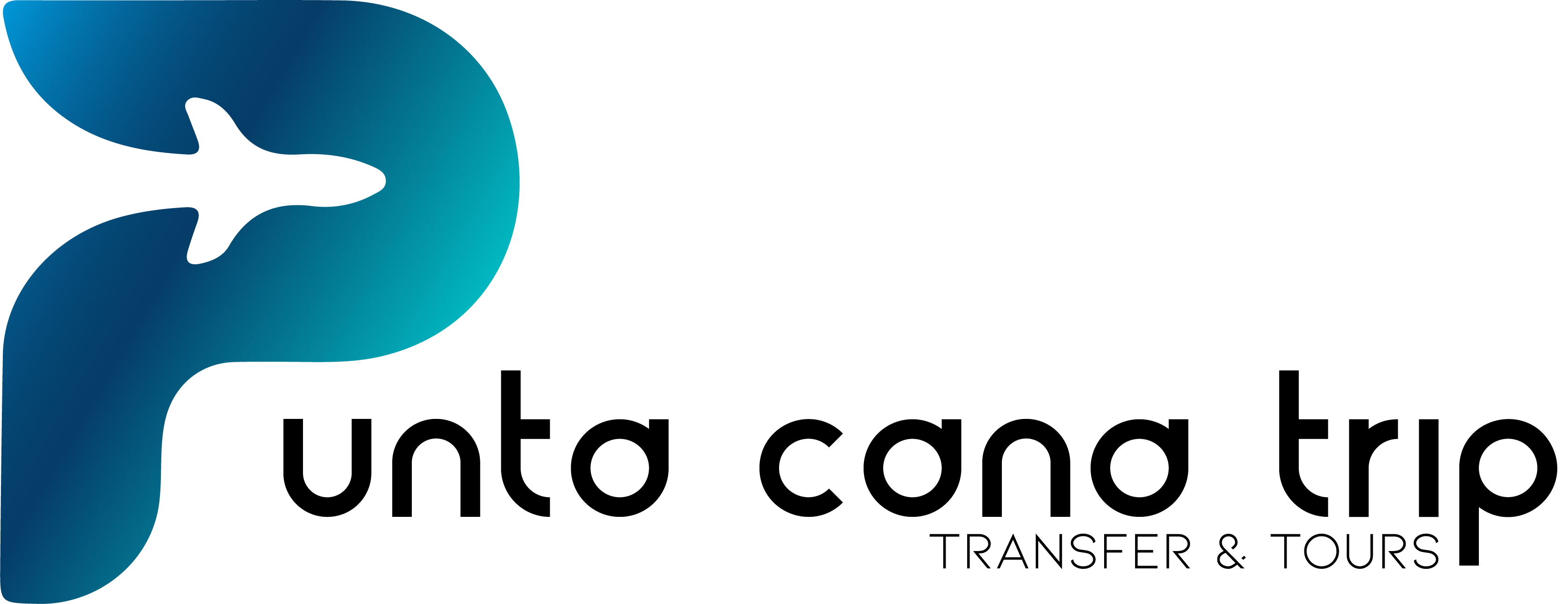 A stylized blue letter "P" with a gradient effect forms the left side of the image. Within the "P," a silhouette of an airplane is cut out, evoking travel or aviation—perfect for promoting Punta Cana tours or best transfers services.