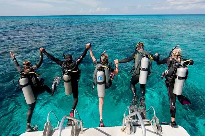 Five scuba divers in wetsuits and tanks hold hands while stepping off a boat into clear, turquoise water—an unforgettable moment on one of the top Punta Cana excursions. They jump together, facing the vast, calm ocean on their Punta Cana trip.