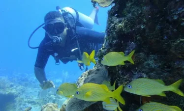 A scuba diver in full gear explores a rocky coral reef as sunlight filters through the clear water. Colorful fish swim nearby, capturing the magic of underwater Punta Cana excursions.