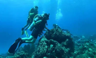 Two scuba divers in wetsuits and fins explore a coral reef underwater during one of the unforgettable tours in Punta Cana. Air bubbles rise as they observe vibrant marine life, with sunlight filtering through the clear blue water above.