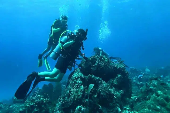 Two scuba divers in wetsuits and fins explore a coral reef underwater during one of the unforgettable tours in Punta Cana. Air bubbles rise as they observe vibrant marine life, with sunlight filtering through the clear blue water above.