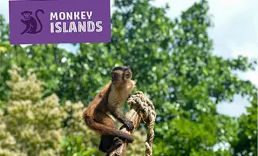 A monkey sits on a thick, twisted rope outdoors, surrounded by lush green trees. In the top left corner, a purple sign with a monkey graphic reads “Monkey Islands”—a must-see stop on punta cana tours. The sky is partly cloudy.