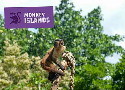 A monkey sits on a thick, twisted rope outdoors, surrounded by lush green trees. In the top left corner, a purple sign with a monkey graphic reads “Monkey Islands”—a must-see stop on punta cana tours. The sky is partly cloudy.