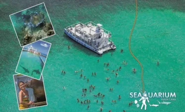 Aerial view of a large white boat anchored in clear turquoise water, surrounded by swimmers. Insets show an underwater helmet dive, dock access, and a woman with a sea lion—perfect highlights from our unforgettable Punta Cana tours. "SEAQUARIUM Punta Cana" logo at bottom right.