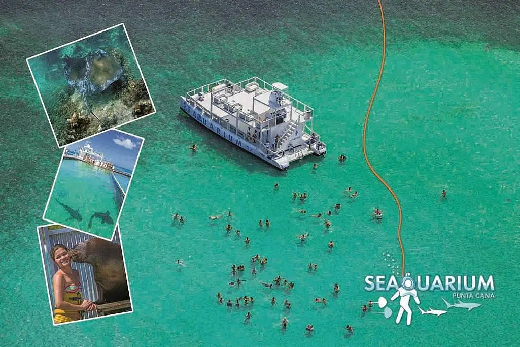 Aerial view of a large white boat anchored in clear turquoise water, surrounded by swimmers. Insets show an underwater helmet dive, dock access, and a woman with a sea lion—perfect highlights from our unforgettable Punta Cana tours. "SEAQUARIUM Punta Cana" logo at bottom right.