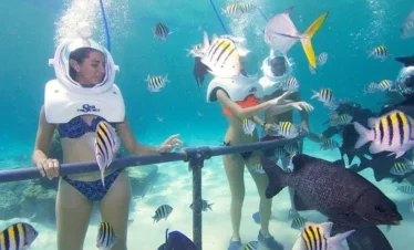 Two people underwater wear helmet-style diving gear and swimwear, standing behind a rail on one of the unforgettable Punta Cana excursions. They’re surrounded by colorful tropical fish in clear blue water, observing or interacting with them.