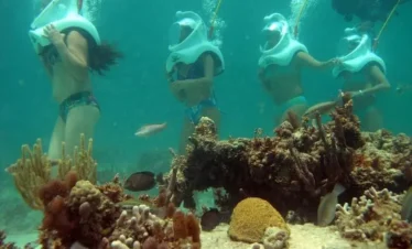 Four people in swimsuits, wearing large white helmets connected to air hoses, walk underwater near a coral reef during one of the unique Punta Cana tours. They hold onto each other amid colorful corals and fish in clear blue-green water.