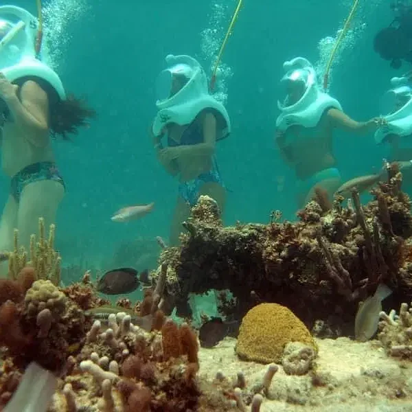 Four people in swimsuits, wearing large white helmets connected to air hoses, walk underwater near a coral reef during one of the unique Punta Cana tours. They hold onto each other amid colorful corals and fish in clear blue-green water.