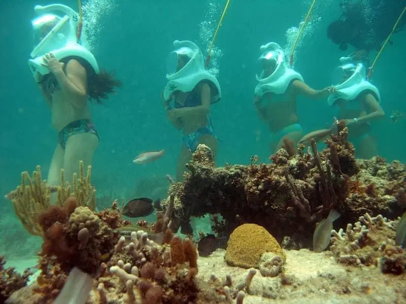 Four people in swimsuits, wearing large white helmets connected to air hoses, walk underwater near a coral reef during one of the unique Punta Cana tours. They hold onto each other amid colorful corals and fish in clear blue-green water.
