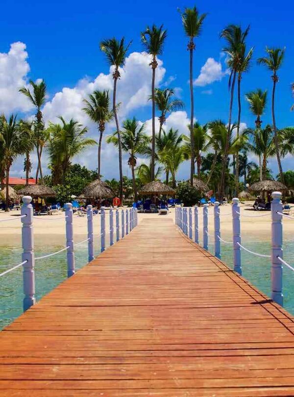 A wooden pier extends over clear turquoise water toward a tropical beach lined with tall palm trees and thatched umbrellas. People relax on lounge chairs under the sunny blue sky with scattered white clouds. The scene exudes a vibrant, tropical paradise vibe.