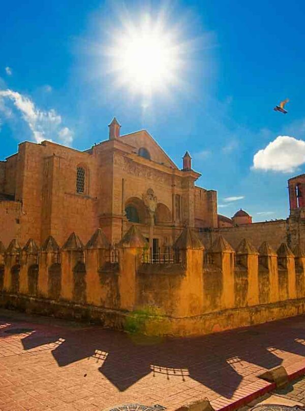 A historic stone cathedral with a tall bell tower stands under a bright sun and clear blue sky. The sunlight creates dramatic shadows on the building and the brick courtyard. A bird flies near the sun, and a tree frames the scene on the left.