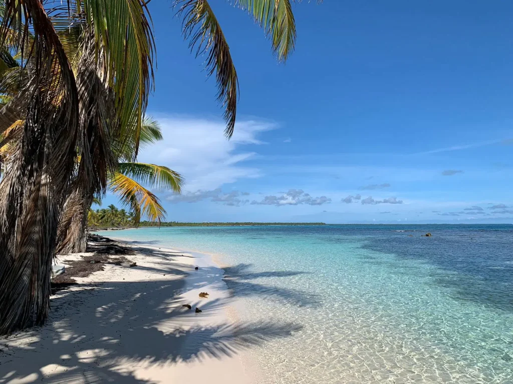 A tropical beach on Saona Island with clear turquoise water, white sand, and palm trees casting long shadows. The bright blue sky and lush greenery make this 3 Beach VIP tour destination truly unforgettable.
