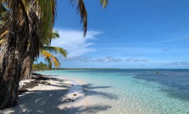 A tropical beach on Saona Island with clear turquoise water, white sand, and palm trees casting long shadows. The bright blue sky and lush greenery make this 3 Beach VIP tour destination truly unforgettable.