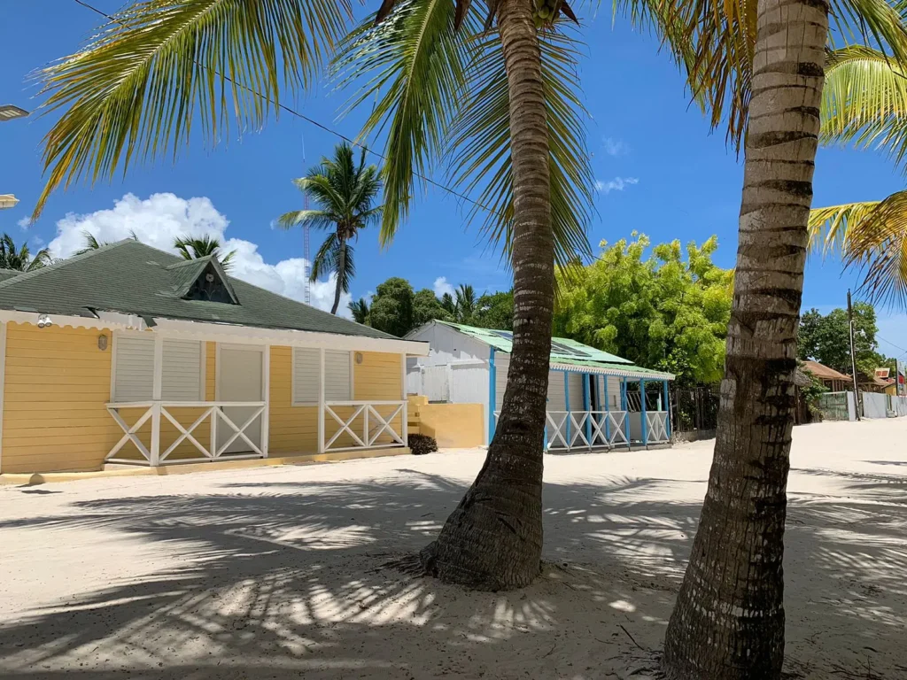 Two palm trees stand on a white sandy beach in front of pastel yellow and blue cottages on Saona Island. Bright green foliage and a clear blue sky with scattered clouds complete this tropical scene.