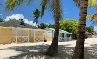 Two palm trees stand on a white sandy beach in front of pastel yellow and blue cottages on Saona Island. Bright green foliage and a clear blue sky with scattered clouds complete this tropical scene.