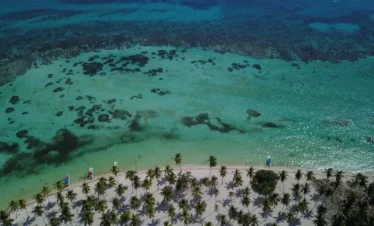 Aerial view of Saona Island's tropical beach with clear turquoise water, dark coral patches, and a sandy shore lined with palms. Small sailboats and palm shadows are visible along this bright, sunny Saona Island Vip coastline.