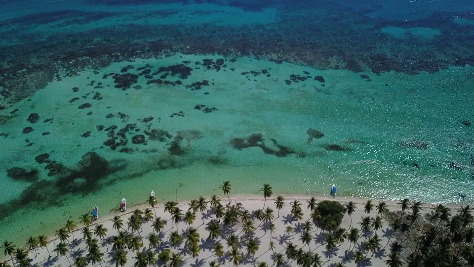 Aerial view of Saona Island's tropical beach with clear turquoise water, dark coral patches, and a sandy shore lined with palms. Small sailboats and palm shadows are visible along this bright, sunny Saona Island Vip coastline.