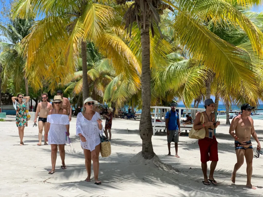 A group of people walks under tall palm trees on the sandy shores of Saona Island, some wearing hats, sunglasses, and beach attire while carrying bags. The sea and more palms line the background under the sunny sky.