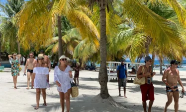 A group of people walks under tall palm trees on the sandy shores of Saona Island, some wearing hats, sunglasses, and beach attire while carrying bags. The sea and more palms line the background under the sunny sky.