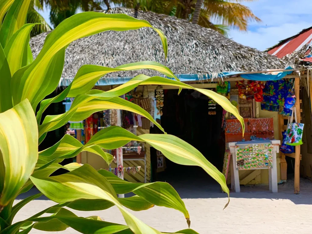 Bright green tropical plant in the foreground, with a Saona Island beach market stall behind it. The thatched-roof stall displays colorful clothing and crafts, while palm trees and blue sky complete the vibrant Saona Island scene.
