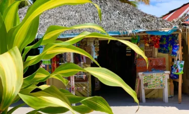 Bright green tropical plant in the foreground, with a Saona Island beach market stall behind it. The thatched-roof stall displays colorful clothing and crafts, while palm trees and blue sky complete the vibrant Saona Island scene.