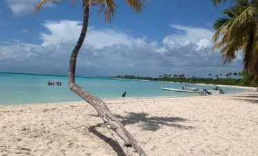 A single palm tree leans over a white sandy beach on Saona Island, with turquoise water and small boats nearby. A few people swim in the shallow water while the sky above this stunning Saona Island tour is partly cloudy with patches of blue.