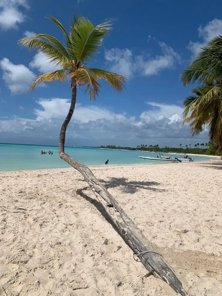 A single palm tree leans over a white sandy beach on Saona Island, with turquoise water and small boats nearby. A few people swim in the shallow water while the sky above this stunning Saona Island tour is partly cloudy with patches of blue.