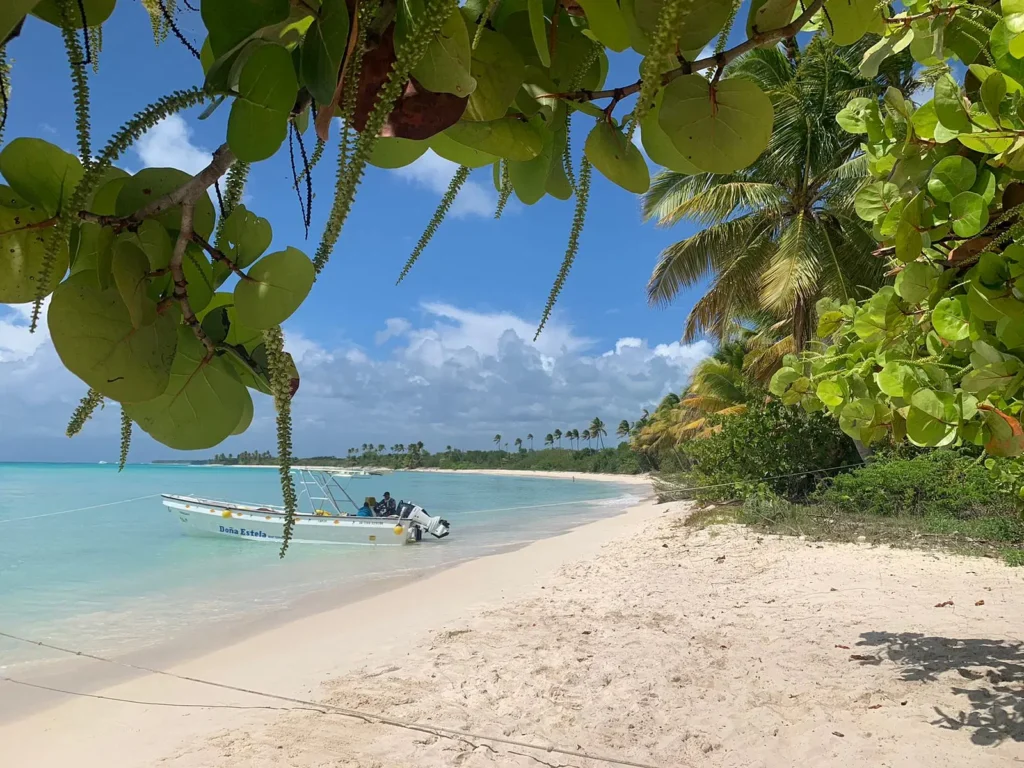 A small boat floats near the shore of Saona Island’s tropical beach with white sand and clear turquoise water. Lush palm trees and foliage frame this serene Vip escape, under a blue sky with gentle clouds.