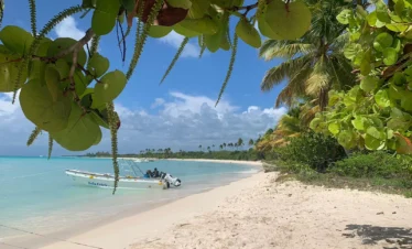 A small boat floats near the shore of Saona Island’s tropical beach with white sand and clear turquoise water. Lush palm trees and foliage frame this serene Vip escape, under a blue sky with gentle clouds.